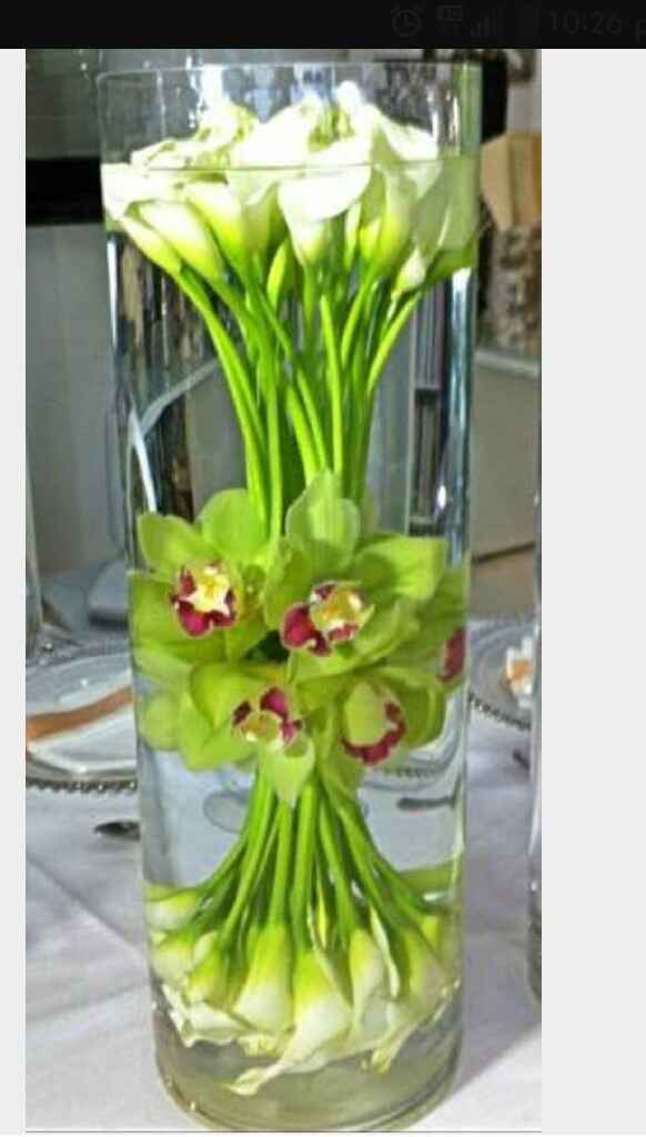 En busqueda de flores - 1