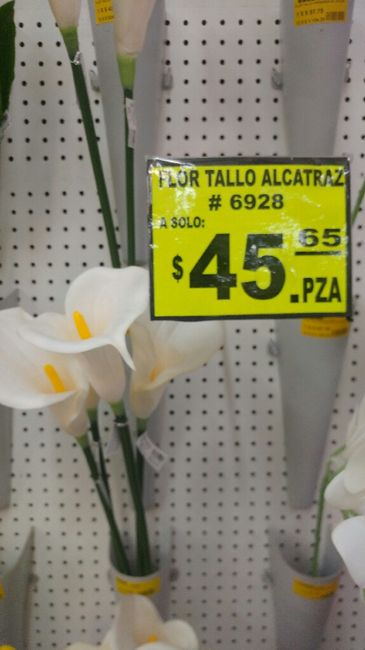 En busqueda de flores - 2