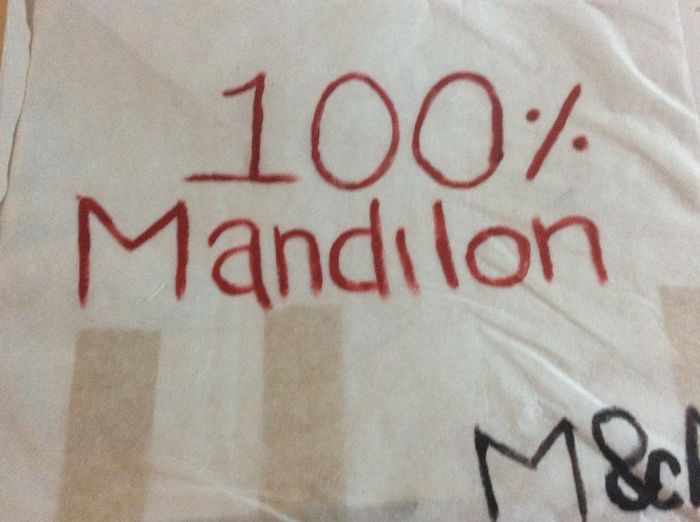 Mandilón resignado 