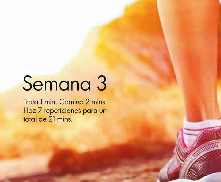 Saludables para el gran día... - 4