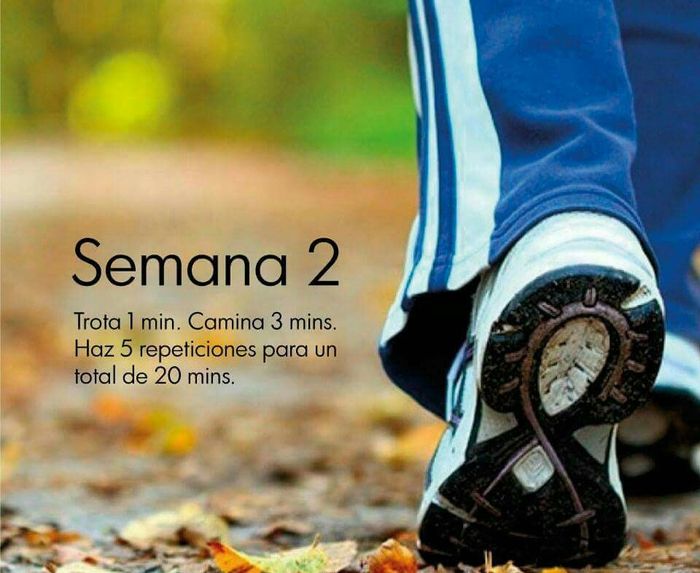 Saludables para el gran día... - 3