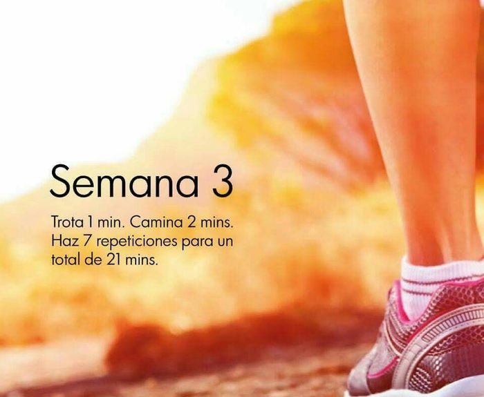 Saludables para el gran día... - 4