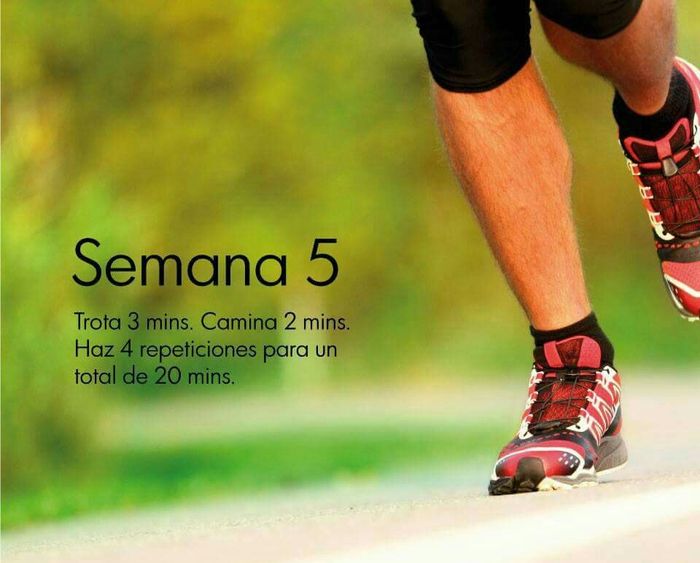 Saludables para el gran día... - 6