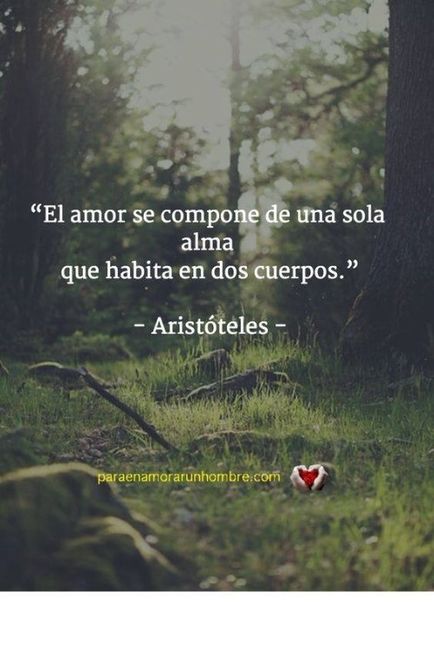 frases de amor
