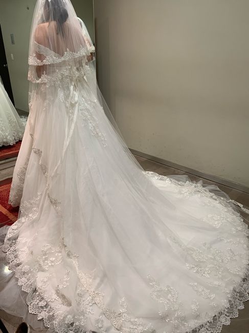 ¡Porfin Elegí mi Vestido! - 1