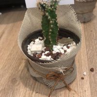 Dos dias para la boda 🥰 - 2