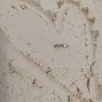 Por último... Muéstranos tu anillo 💍😍 - 1