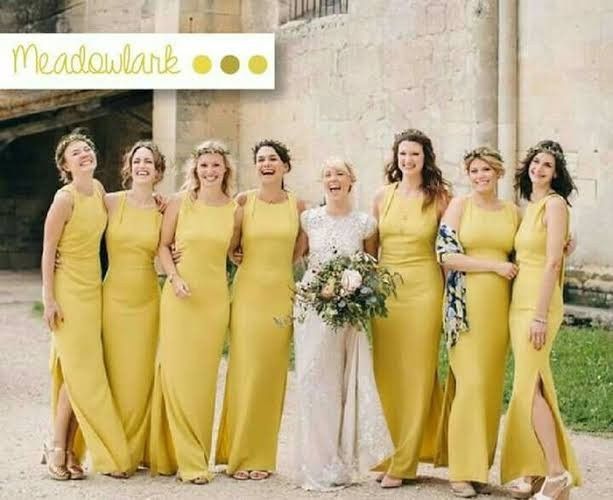 Color de vestido de damas en frío 17