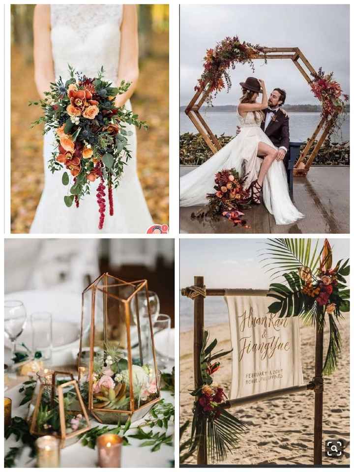 Porqué eligieron su color principal? - 1