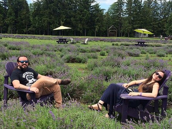 Campo de Lavanda Montreal CA