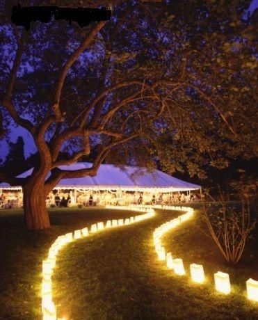 camino con luminarias