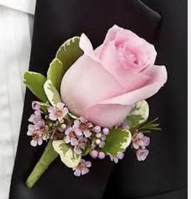 Boutonier Rosa 🌹 - 6