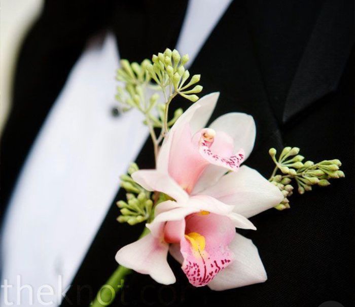 Boutonier Rosa 🌹 - 9