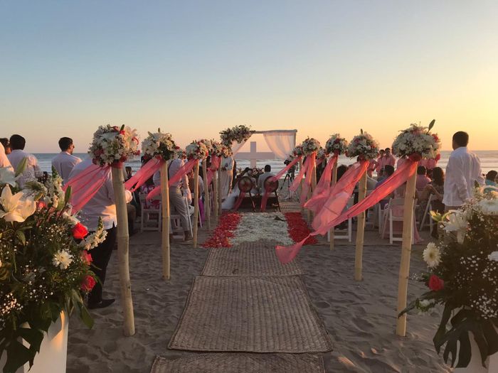 El color del año 2019 - Coral 🤩🤩 - 20