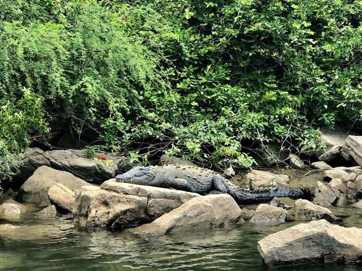 10 razones para visitar Chiapas. - 11