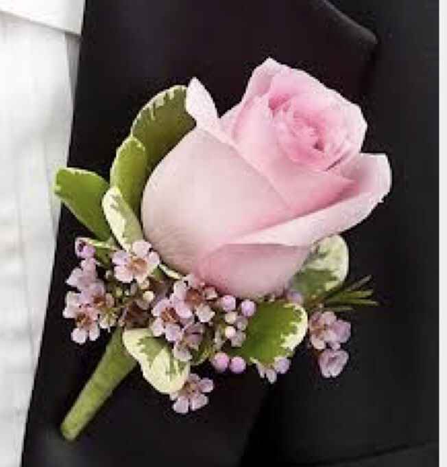 Boutonier Rosa 🌹 - 6