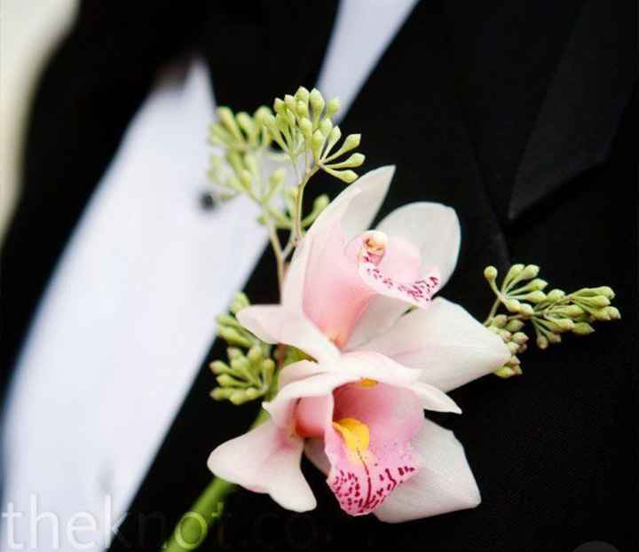 Boutonier Rosa 🌹 - 9