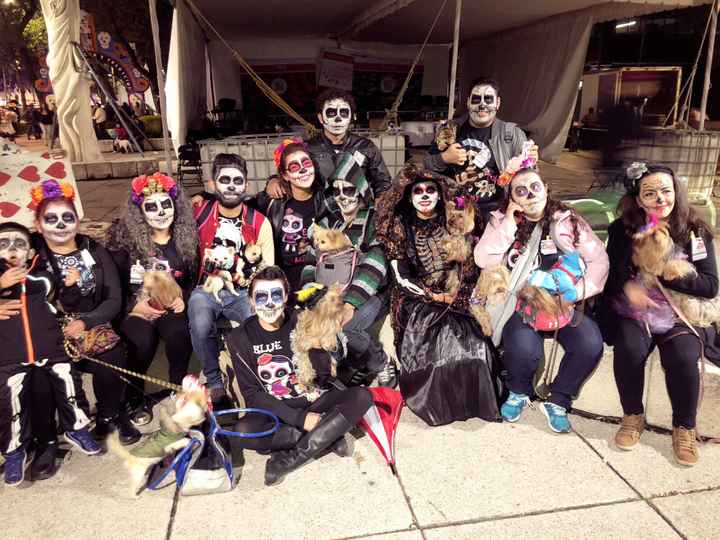 Novios de calavera en el desfile del Día de Muertos 💀 - 7