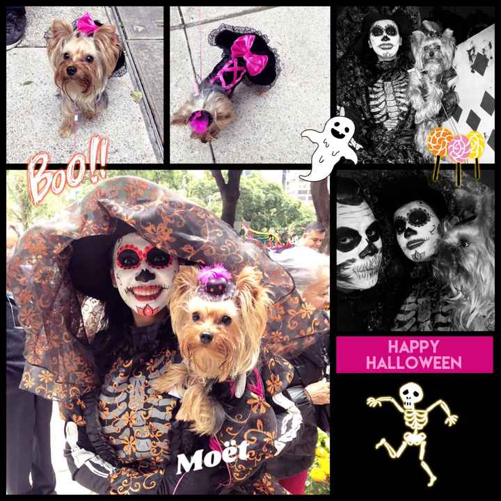Novios de calavera en el desfile del Día de Muertos 💀 - 8