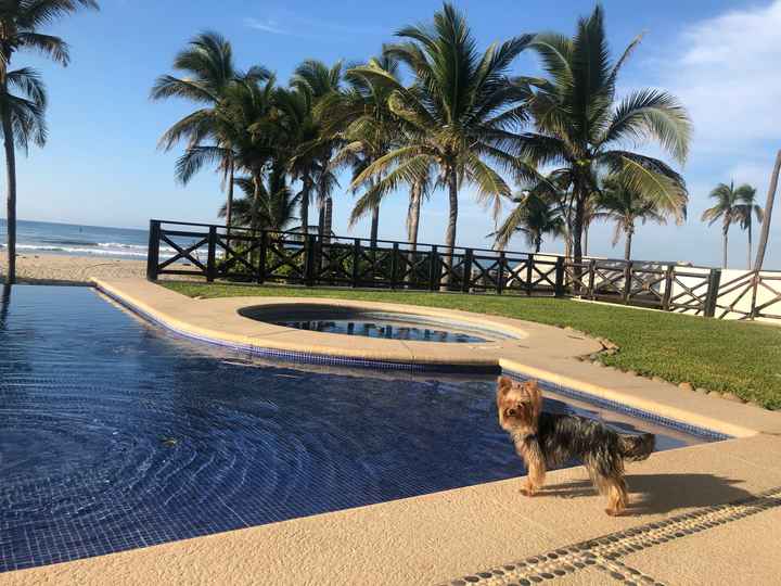 Nuestro gran sueño está por llegar ♥️ - 3