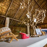 Palmerales Beach/ Casa Tasgar - 2