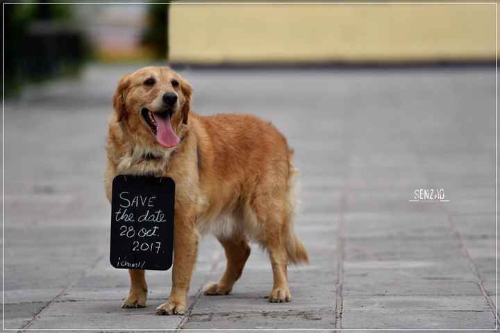 Mis fotitos save the date 😍❤️👰🏻🤵🏻💍 - 2