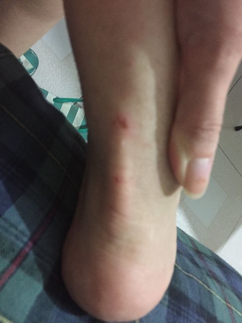  Los disque tacones comodos que compre 😣 - 2