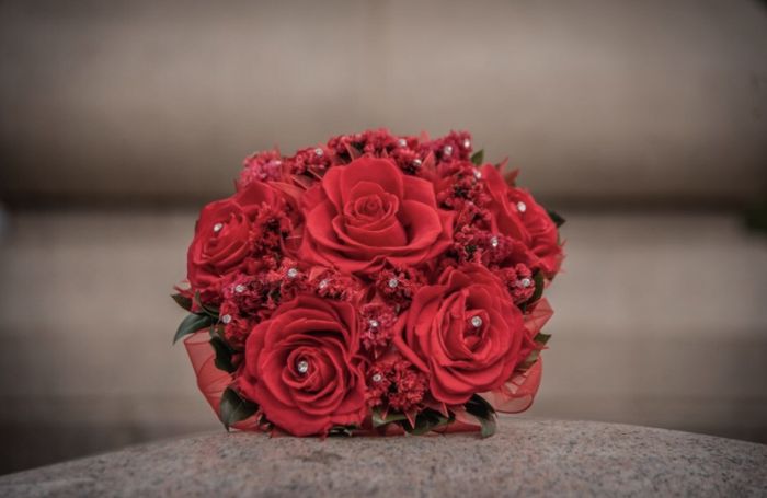 Ramos rehidratados, donde conseguirlo? - 1