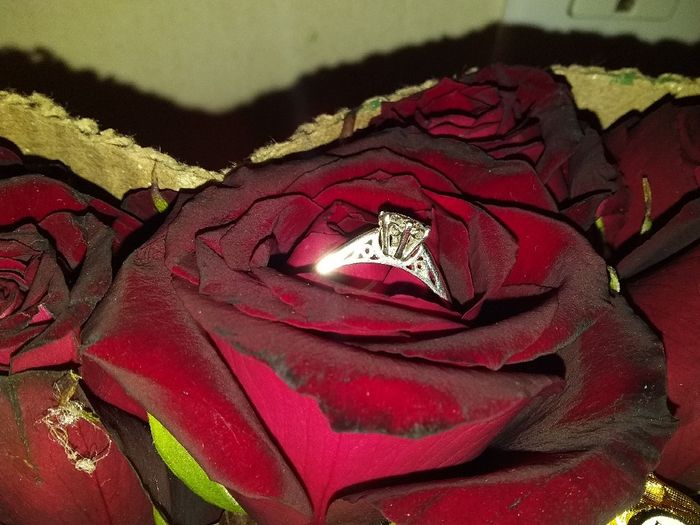 ¿De qué color es? 4