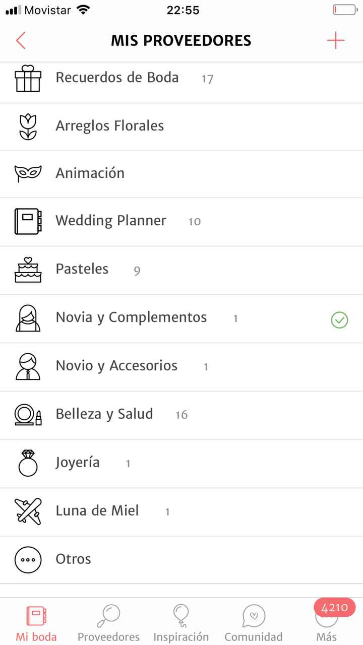 Cómo registrar mis proveedores que no aparecen en la página de bodas? - 1