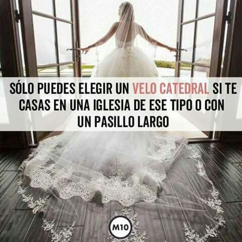 Reglas del velo - 7