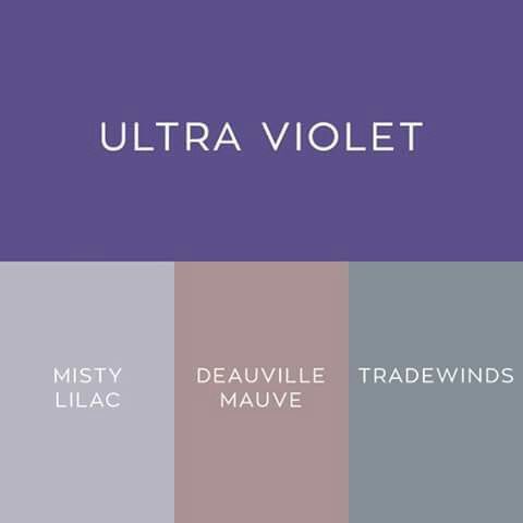 Boda ultra violeta - 2