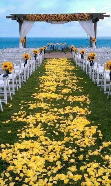 Girasol - 8