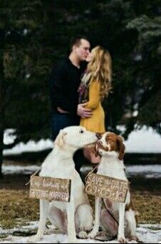 ¿Incluyeron a sus mascotas en su save the date? - 2