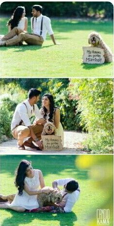 ¿Incluyeron a sus mascotas en su save the date? - 5