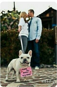 ¿Incluyeron a sus mascotas en su save the date? - 6