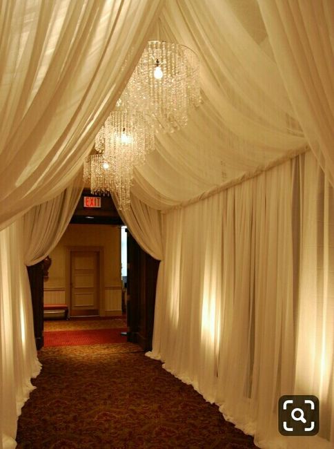 Pasillos entelados - 7