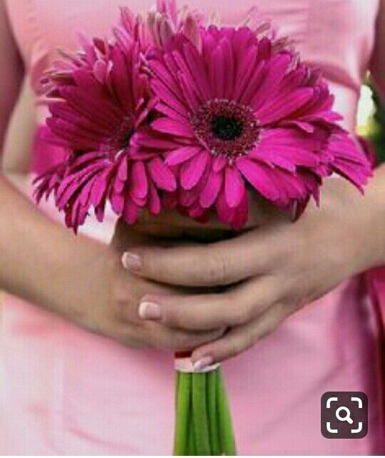 Damas con gerberas - 6