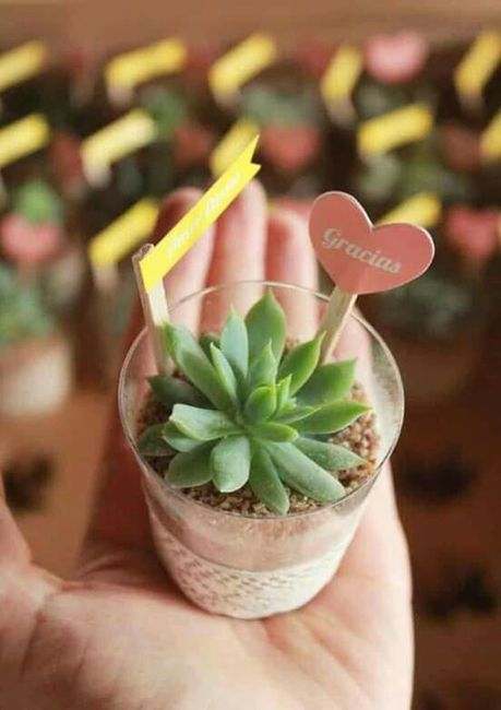 Plantitas de recuerdo - 3