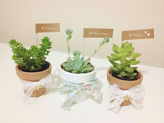 Plantitas de recuerdo - 10