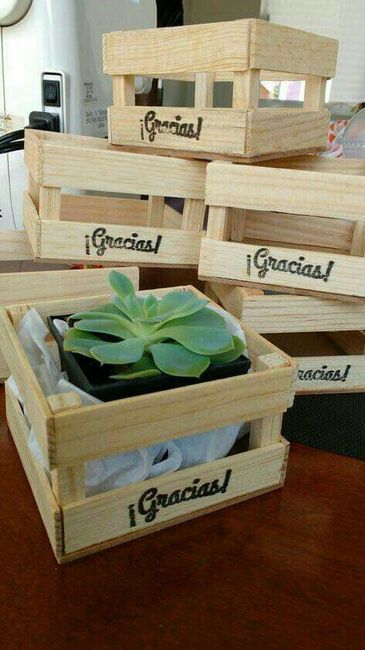 Plantitas de recuerdo - 14