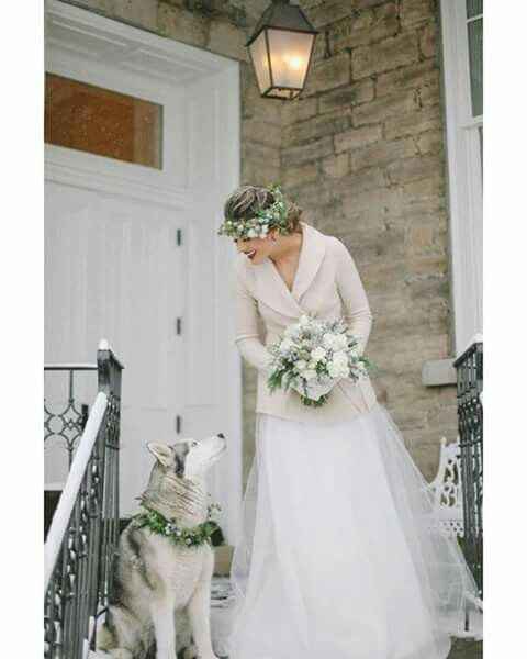 Chic@s q quieren incluir a sus perritos en las fotos! - 3