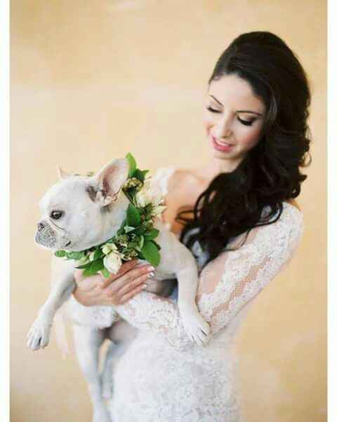Chic@s q quieren incluir a sus perritos en las fotos! - 5