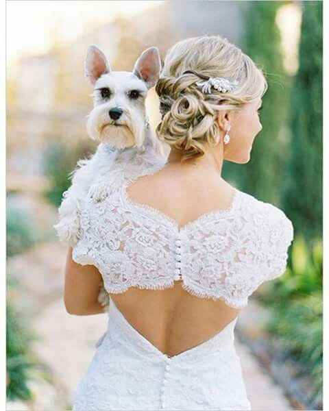Chic@s q quieren incluir a sus perritos en las fotos! - 8