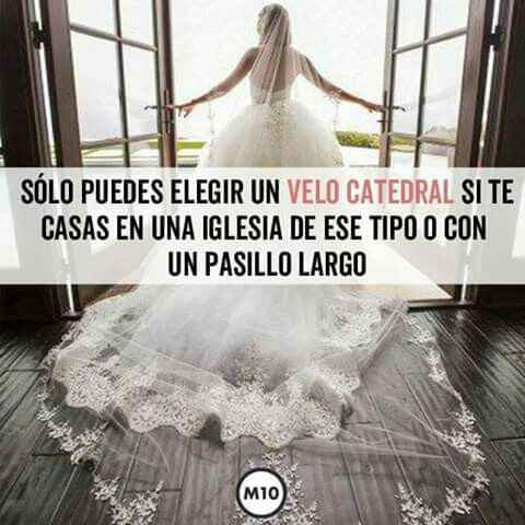 Reglas del velo - 7