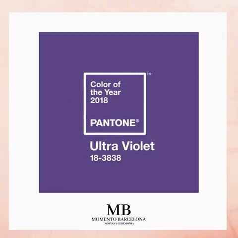 Boda ultra violeta - 1
