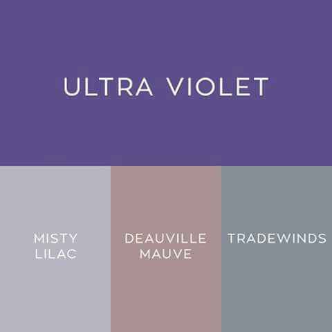 Boda ultra violeta - 2