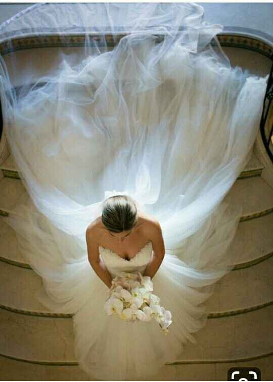 Ideas para fotos con el velo de novia - 3