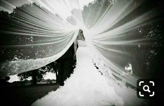 Ideas para fotos con el velo de novia - 9