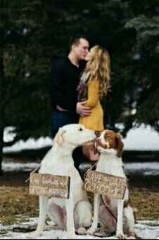 ¿Incluyeron a sus mascotas en su save the date? - 2
